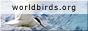 Worldbirds